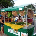 Feira de agroecologia e artesanato valoriza comunidades tradicionais