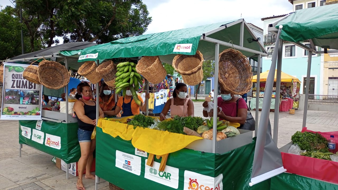 Feira de agroecologia e artesanato valoriza comunidades tradicionais