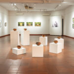 Mandioca é eixo de exposição da artista brasileira em Maputo