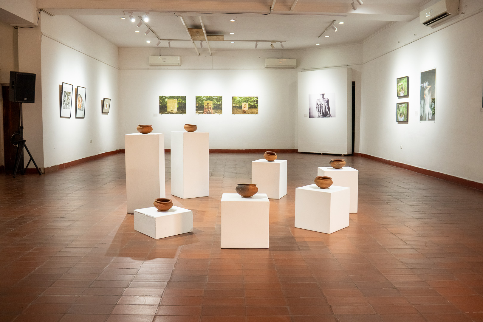 Mandioca é eixo de exposição da artista brasileira em Maputo