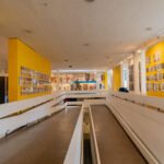 Museu Afro Brasil realiza encontro nacional sobre acervos afro-brasileiros
