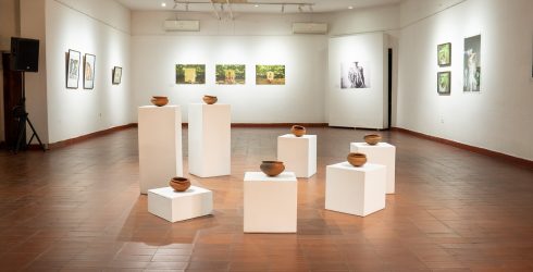 Mandioca é eixo de exposição da artista brasileira em Maputo